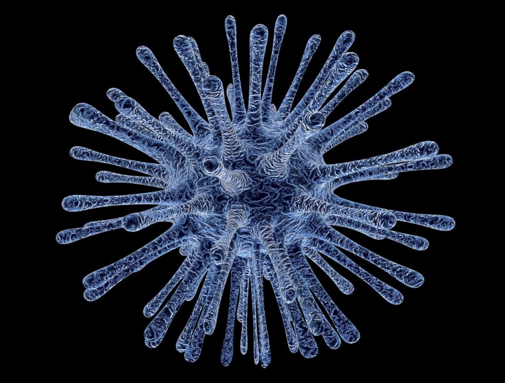 Bacteria Infection